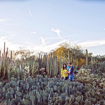 Holiday Inn Express & Suites - Phoenix - Airport North By Ihg Eksteriør billede