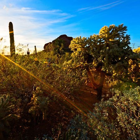 Holiday Inn Express & Suites - Phoenix - Airport North By Ihg Eksteriør billede
