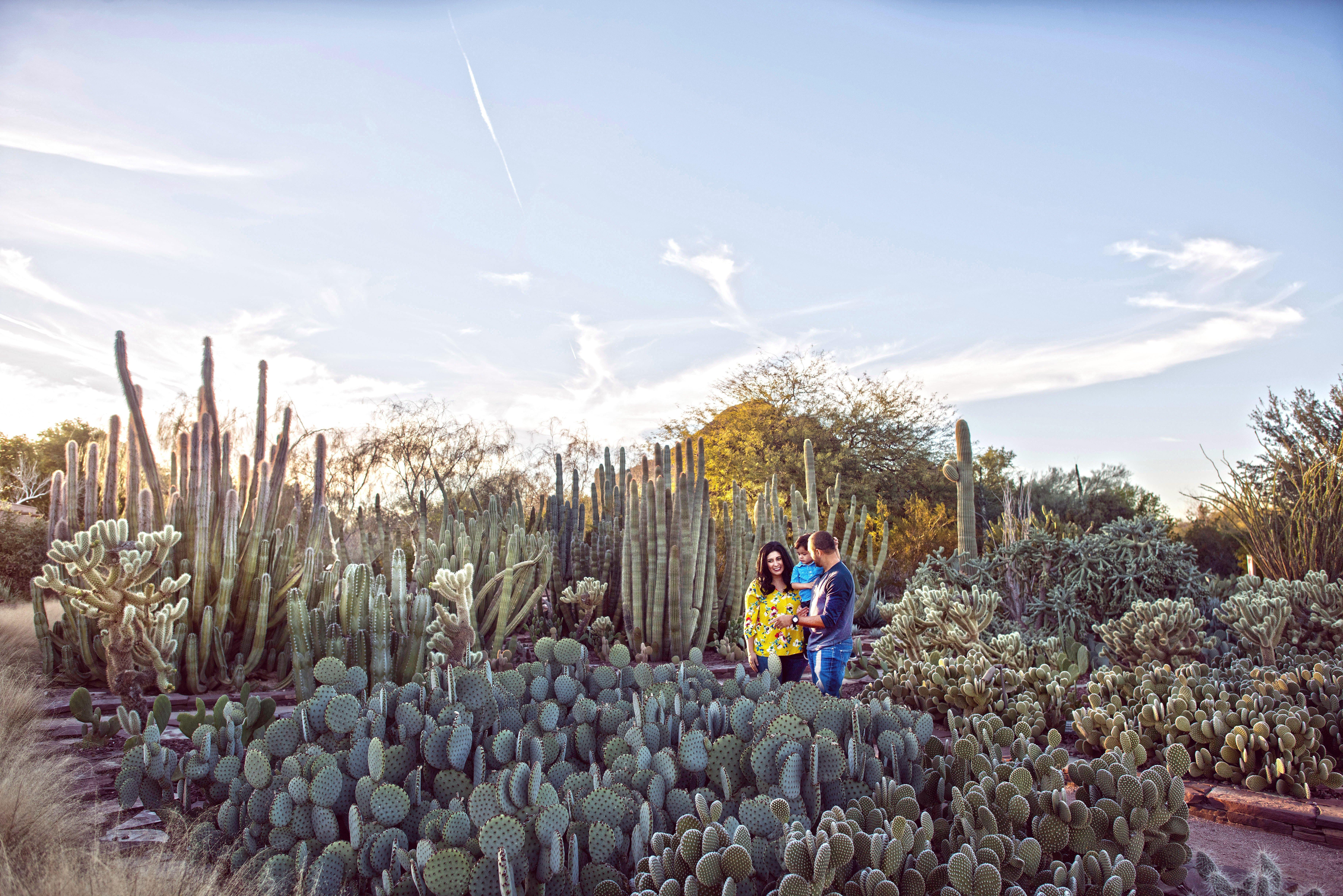 Holiday Inn Express & Suites - Phoenix - Airport North By Ihg Eksteriør billede